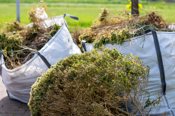 Best Electronics Removal Services  in Wenonah, NJ